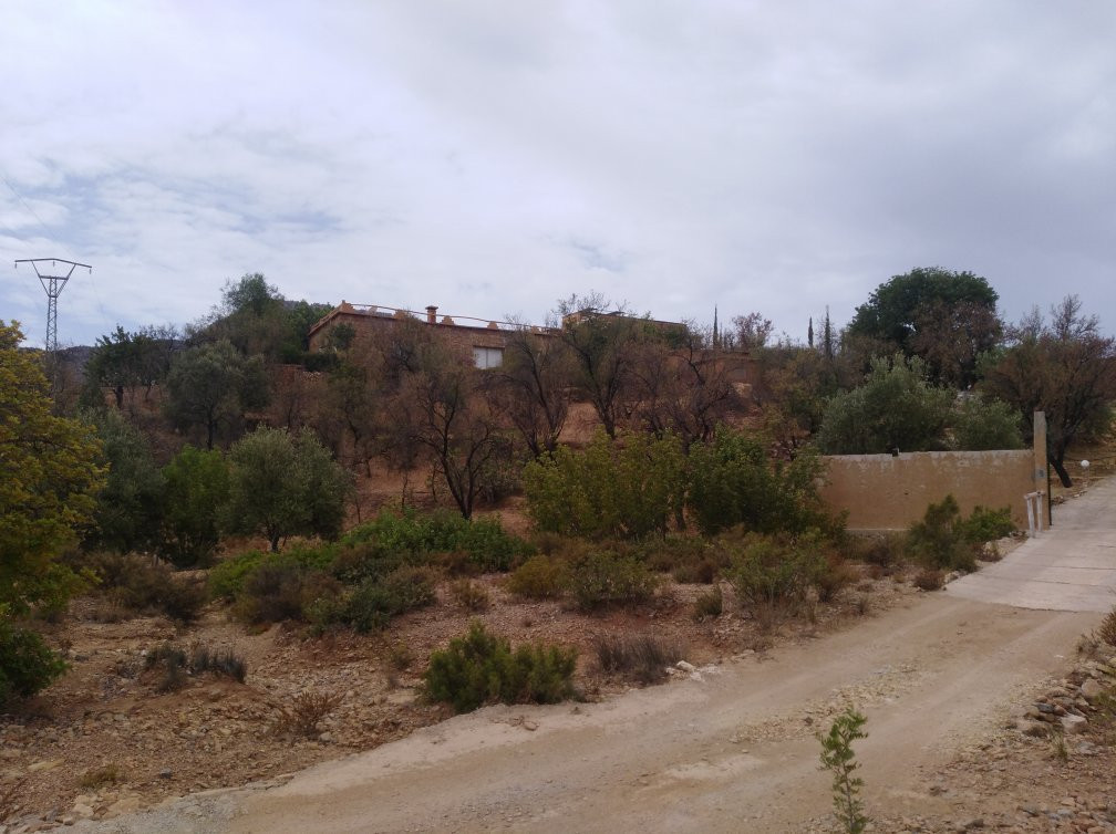 Riad de l'Olivier主图