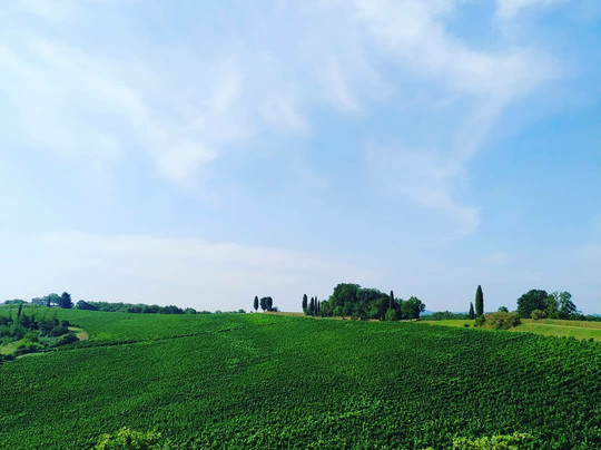 Agriturismo Colleverde主图