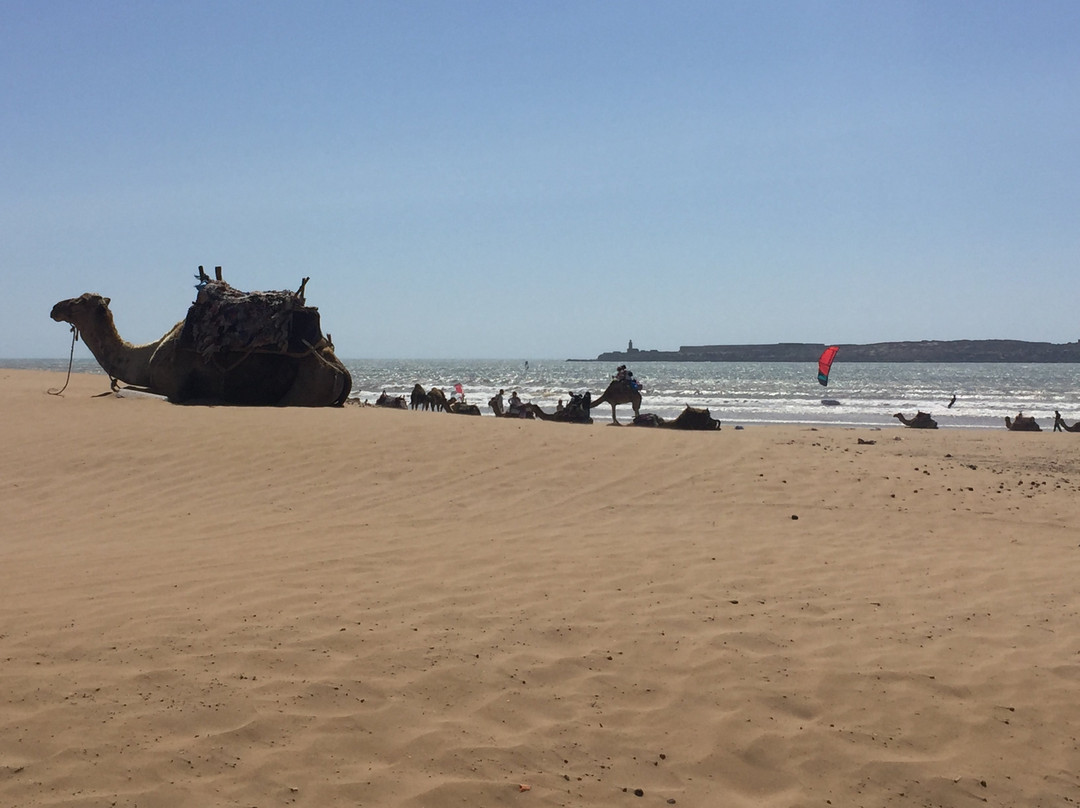 Arcencieltour-马拉喀什必去景点