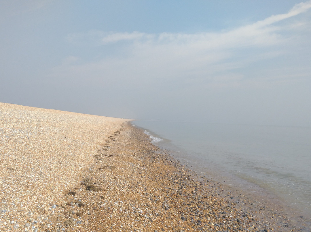 Castaways B&B and Guest House主图