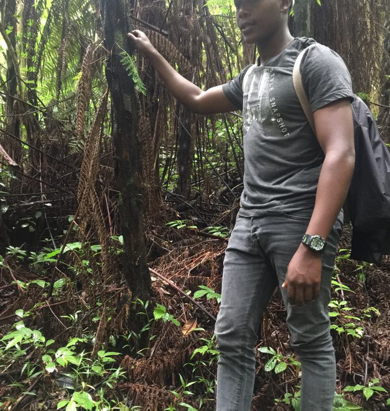 Usambara Tours-卢绍托必去景点