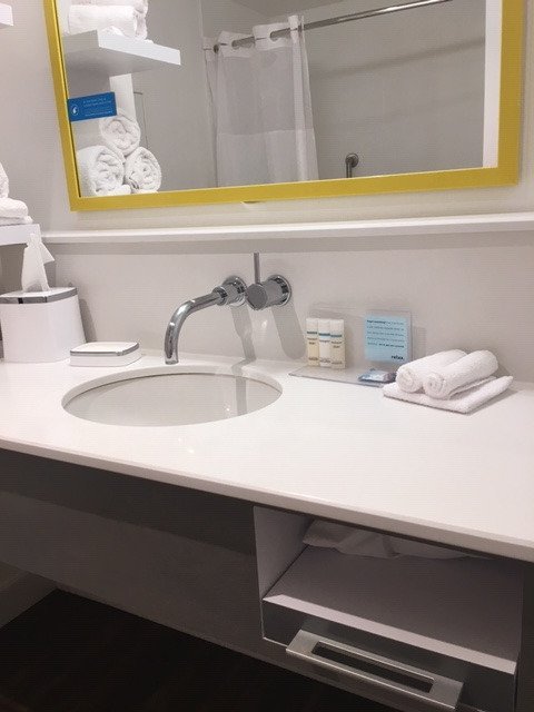 Hampton Inn And Suites Boston/Waltham-浴室