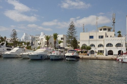 Port El Kantaoui Diving景点图片