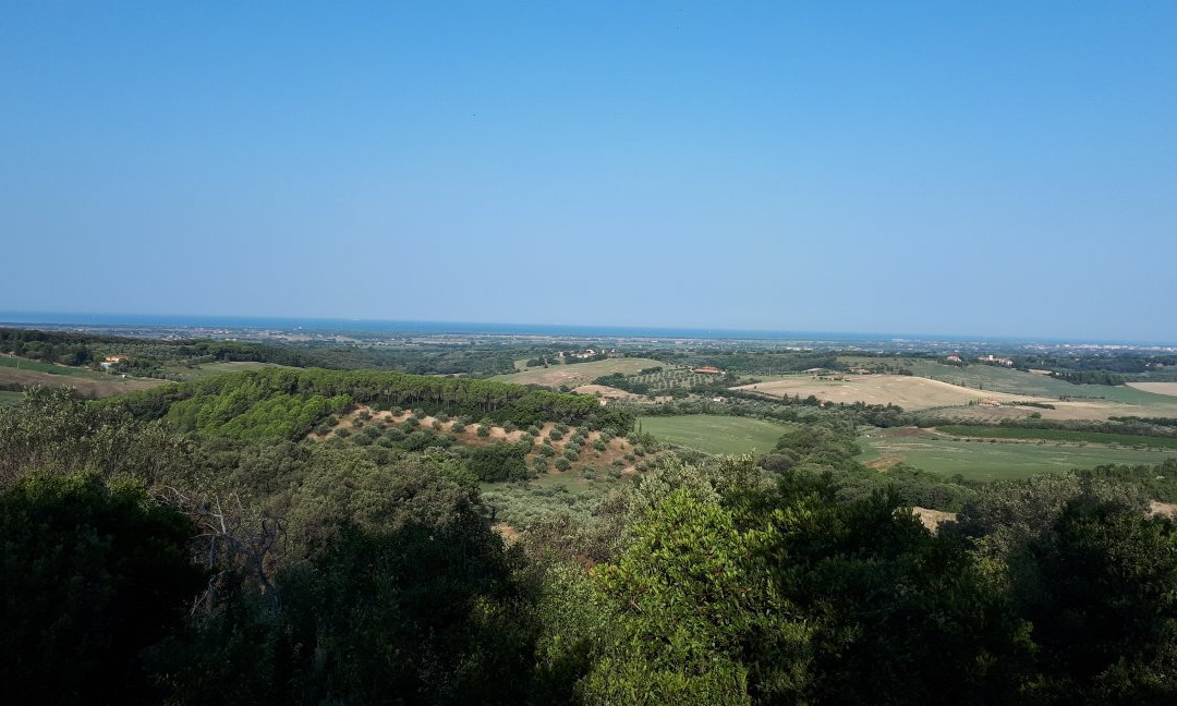 Macchia Della Magona景点图片