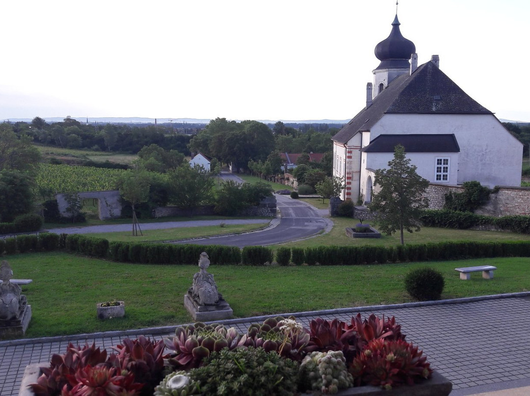 Freigut Thallern主图