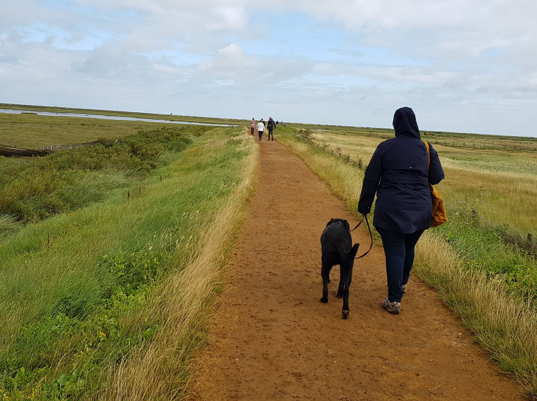 Blakeney Conservation Duck Pond-布莱克尼必去景点