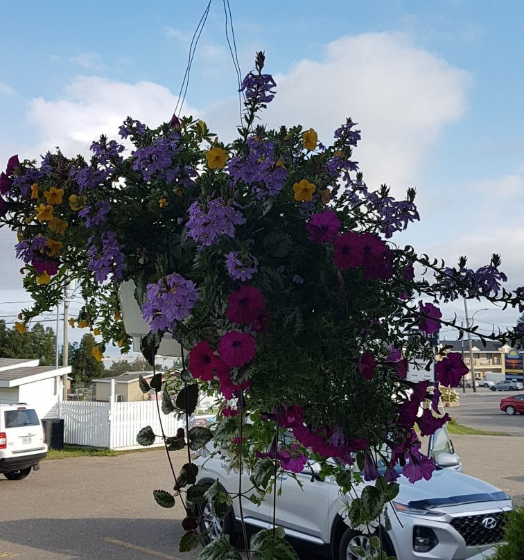 Motel Au Vieux Piloteux主图