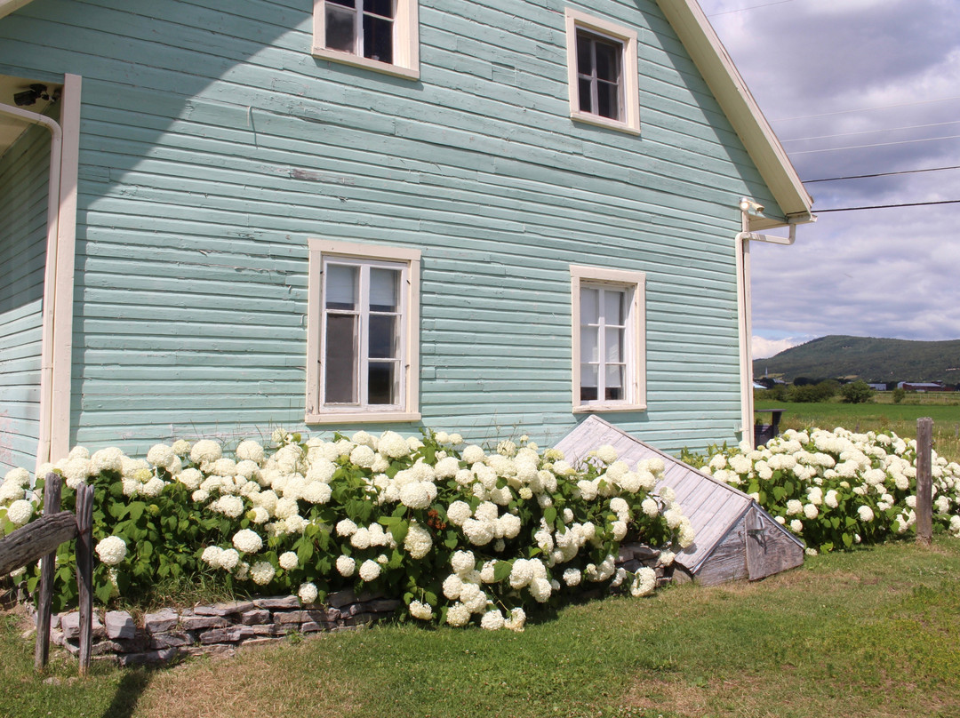 Lavande Azulée-Baie-St-Paul必去景点
