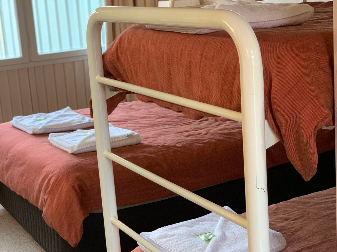 Snowy Mountains Motor Inn主图