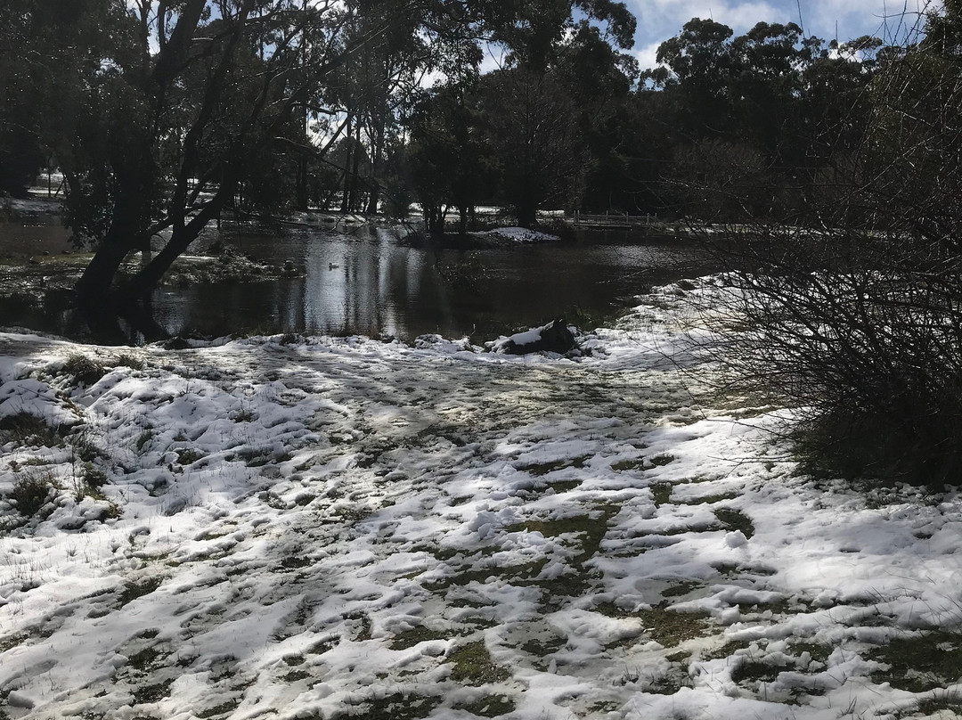 Quarry St Reserve-Trentham必去景点