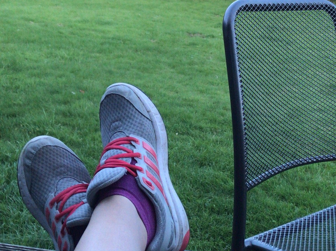 Nettleton旅游攻略图片