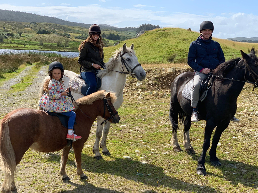 Knockillaree Riding Centre-Oughterard必去景点