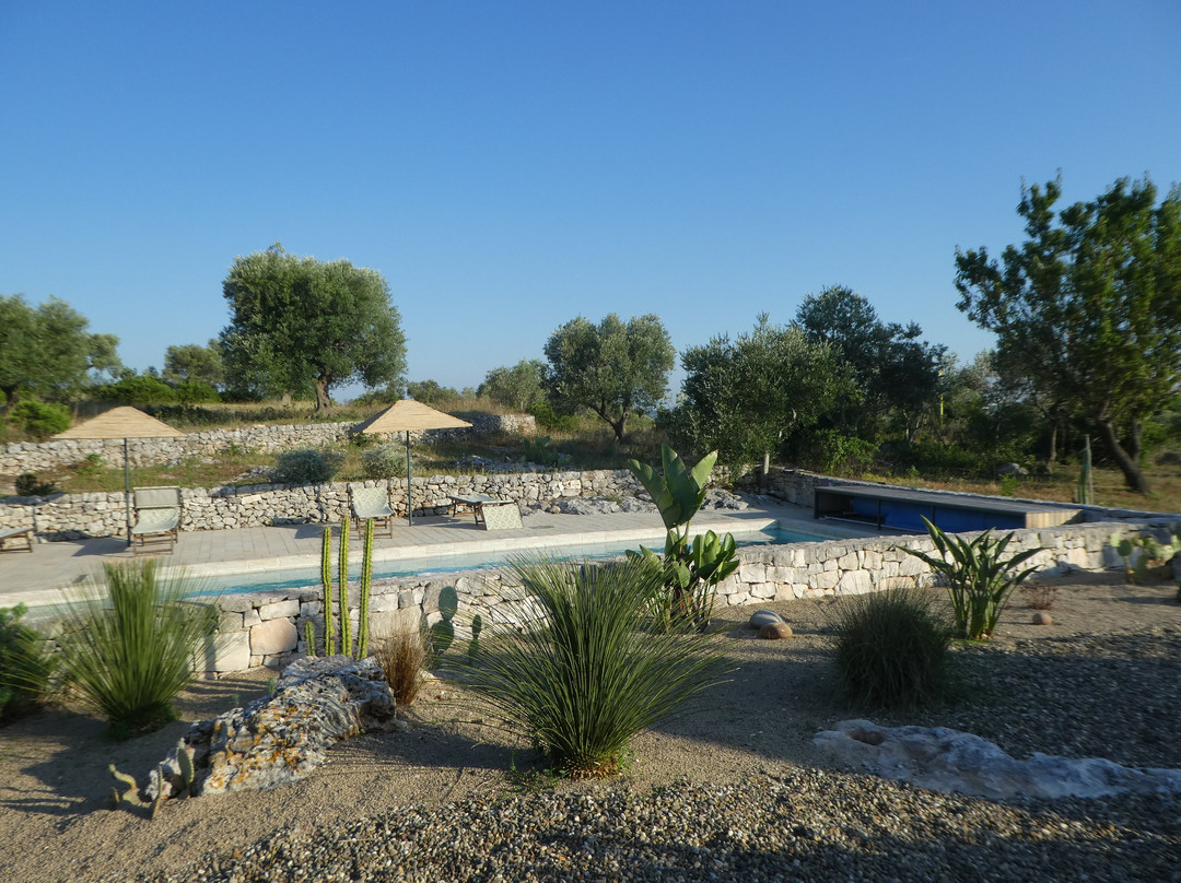 Regina di Ulivi主图