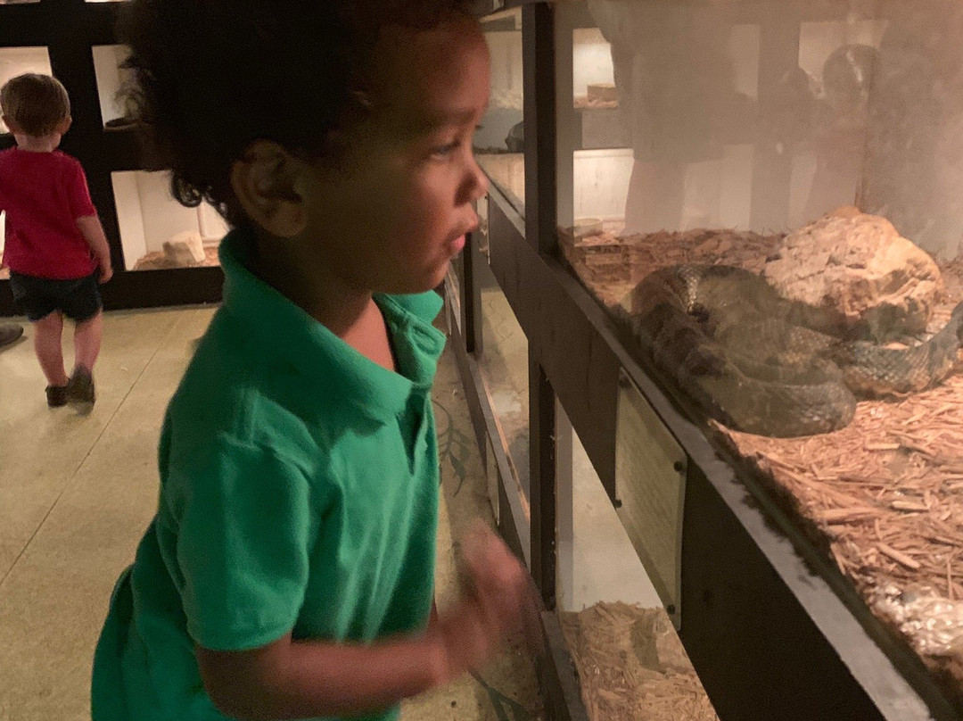 Luray Zoo - A Rescue Zoo-卢雷必去景点