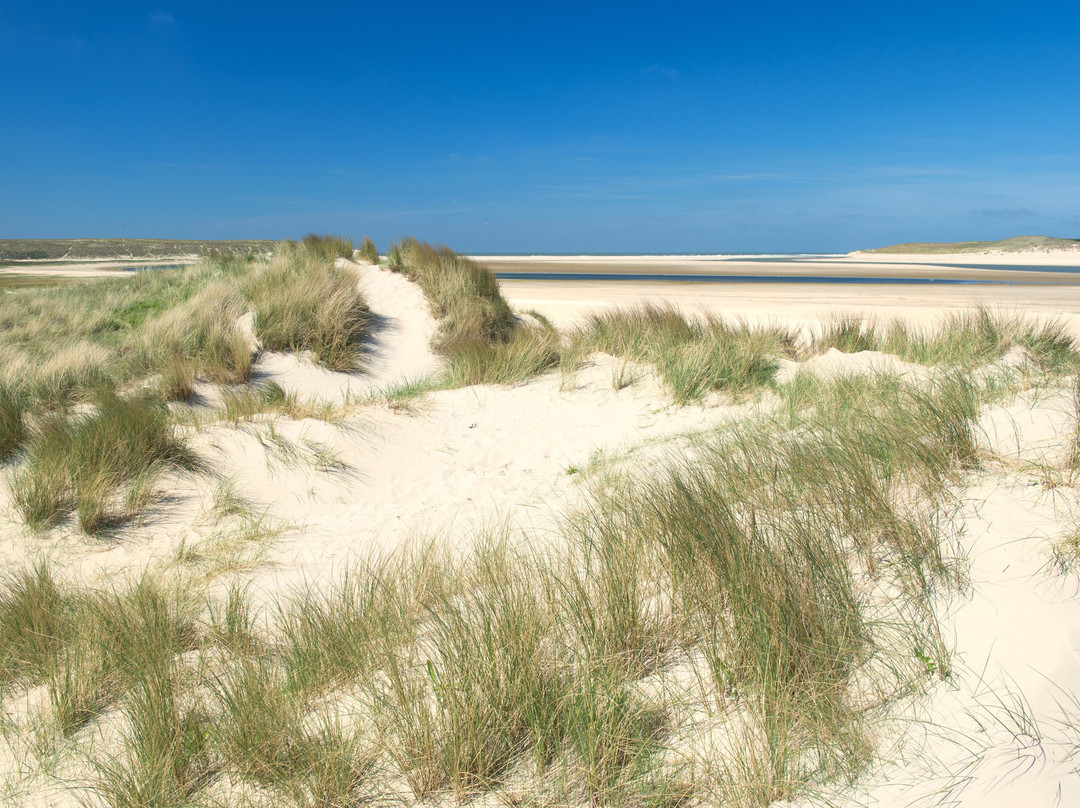 Hotel Molenbos主图