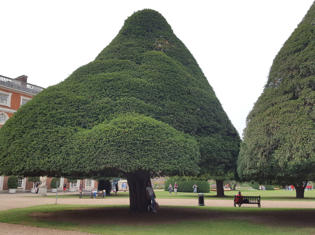 Hampton Court Park景点图片