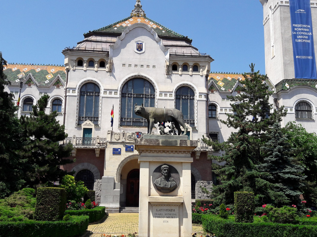 Targu Mures City Hall景点图片