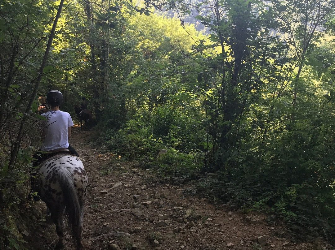 Ruscello Ranch-Bagni di Lucca必去景点