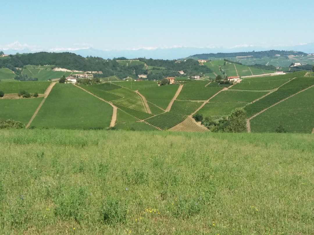 Strada del Barolo e Grandi Vini di Langa-Castiglione Falletto必去景点