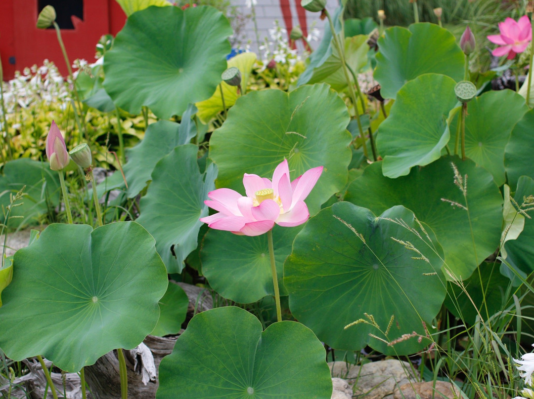 Indian Harvest-Union必去景点