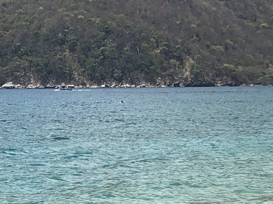 Bahía Concha景点图片