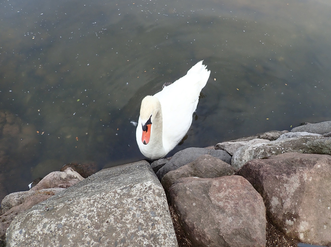 Shidakako Lake景点图片