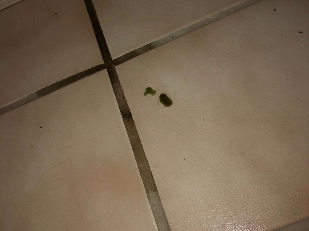 Days Inn by Wyndham Hays主图