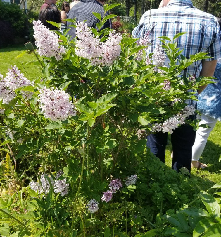 Maidstone Inn Bed and Breakfast主图