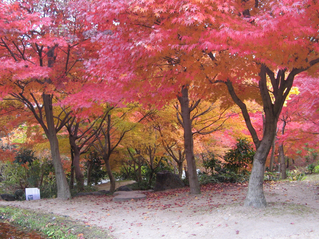 Uji City Botanical Park景点图片