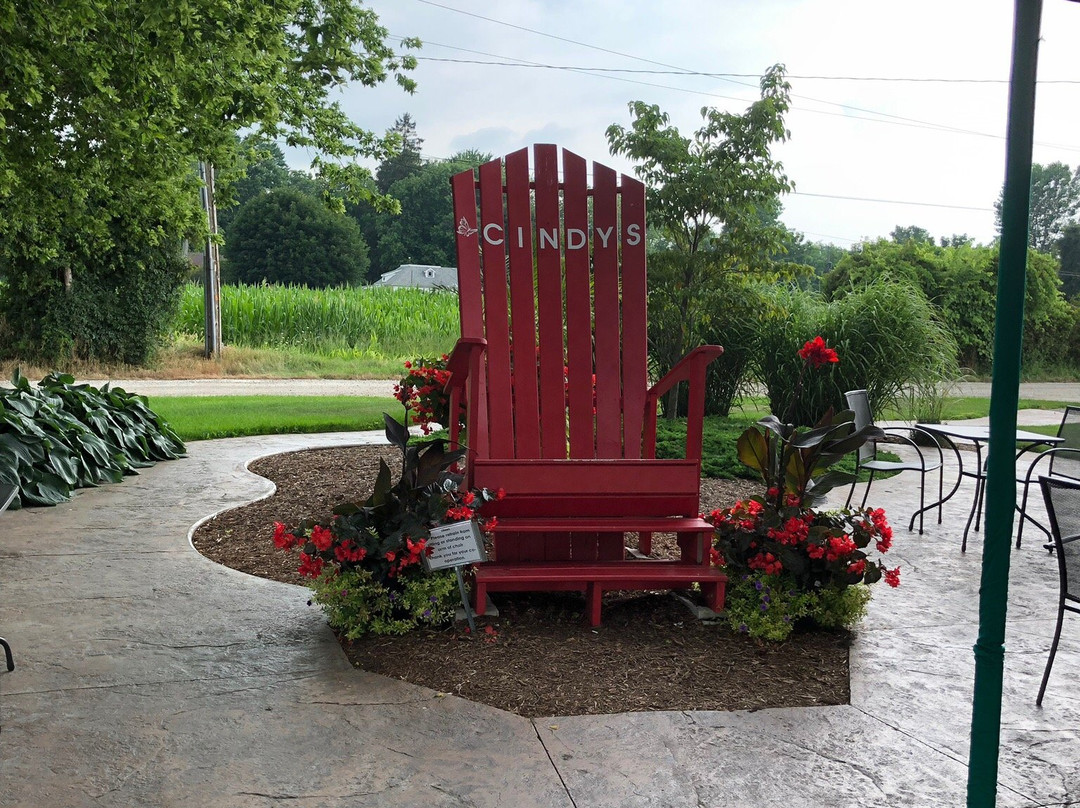 Cindy's-Kingsville必去景点