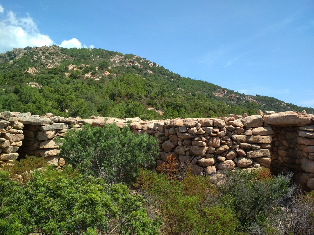 Site prehistorique de Castellu d'Araggio景点图片