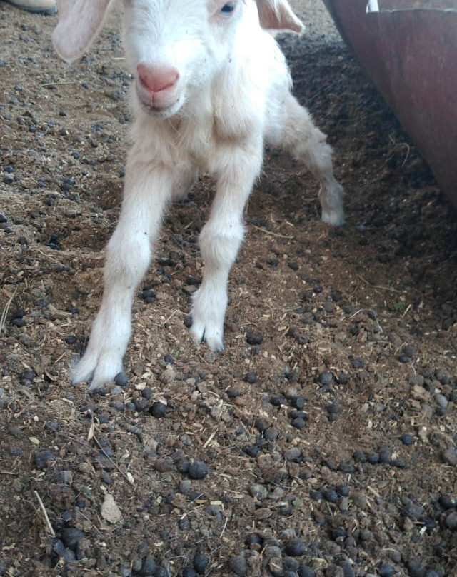 Ecofundo La Caprichosa-Mancora必去景点