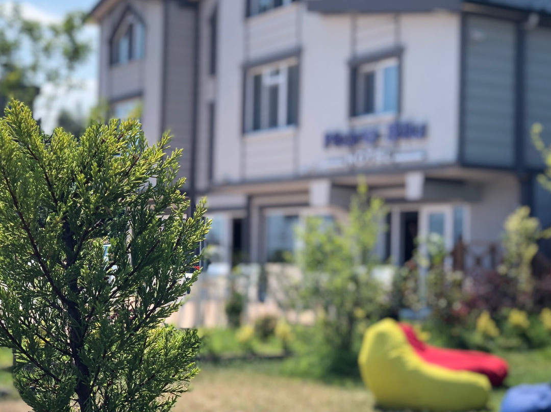 Mare Blu Hotel主图