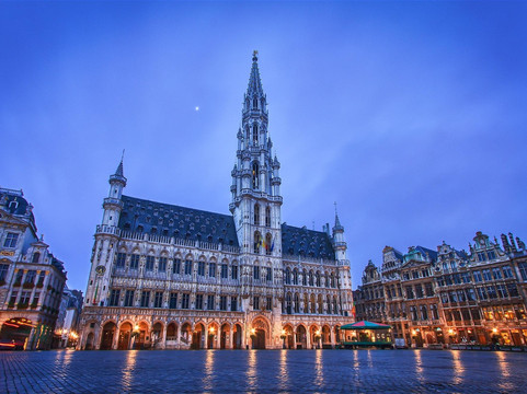 Luxury Private Tours of Belgium – Explore Top Cities & Landmarks-布鲁塞尔必去景点