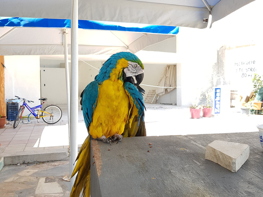 Cafe' Lido-Ierapetra必去景点