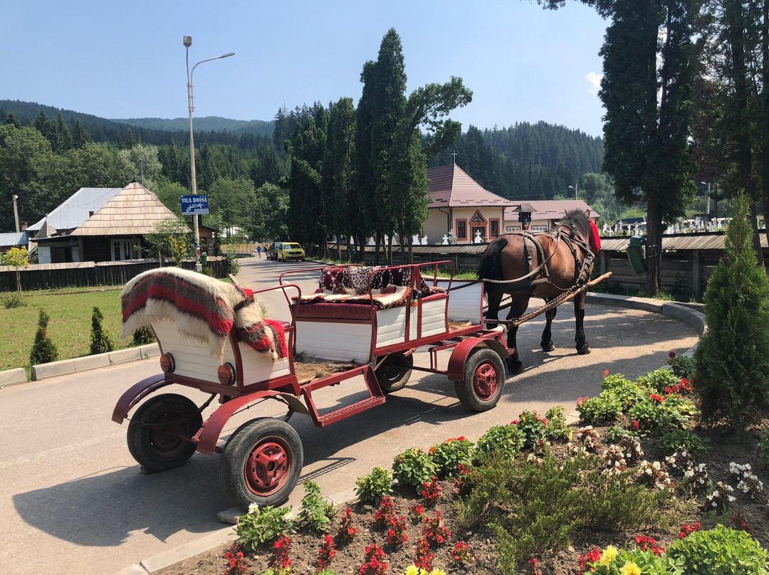 Hello Bucovina Day Tours-Suceava必去景点