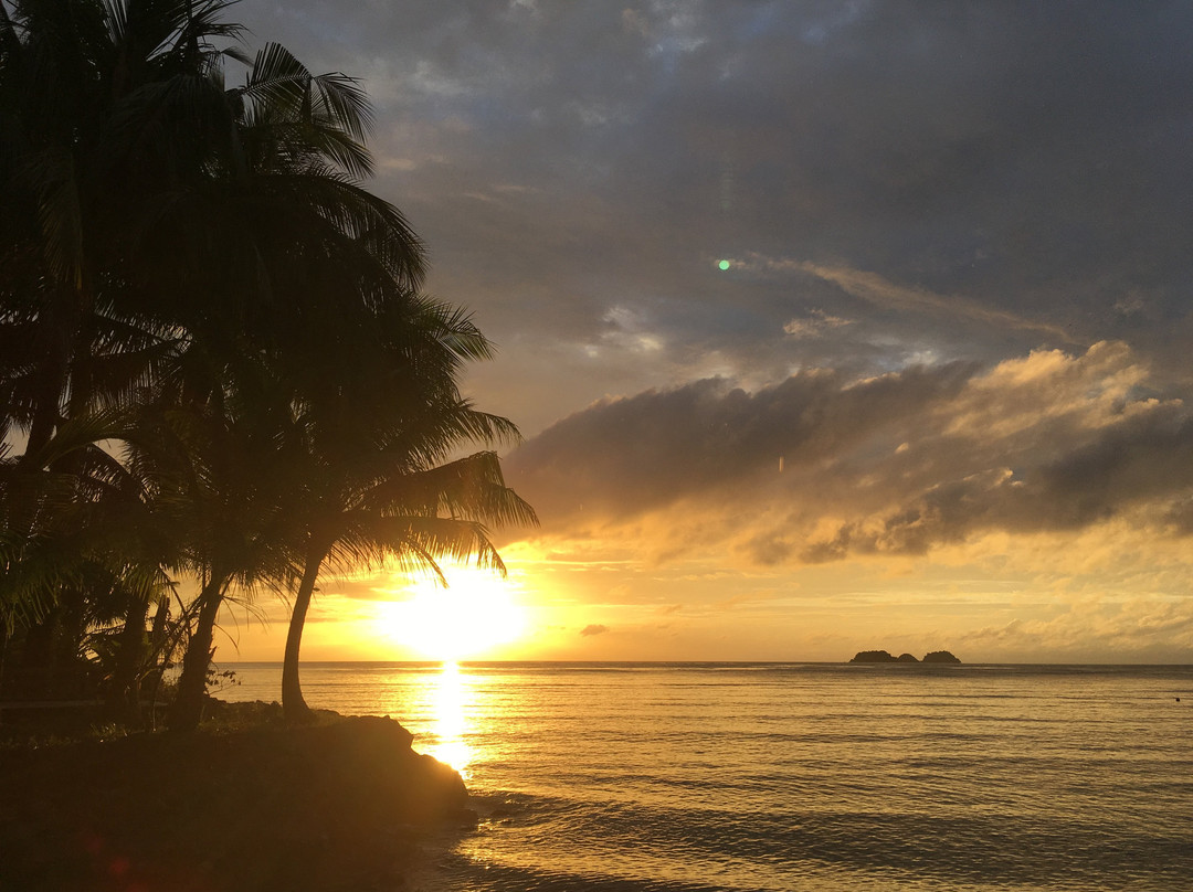 Lucky Gecko Garden主图