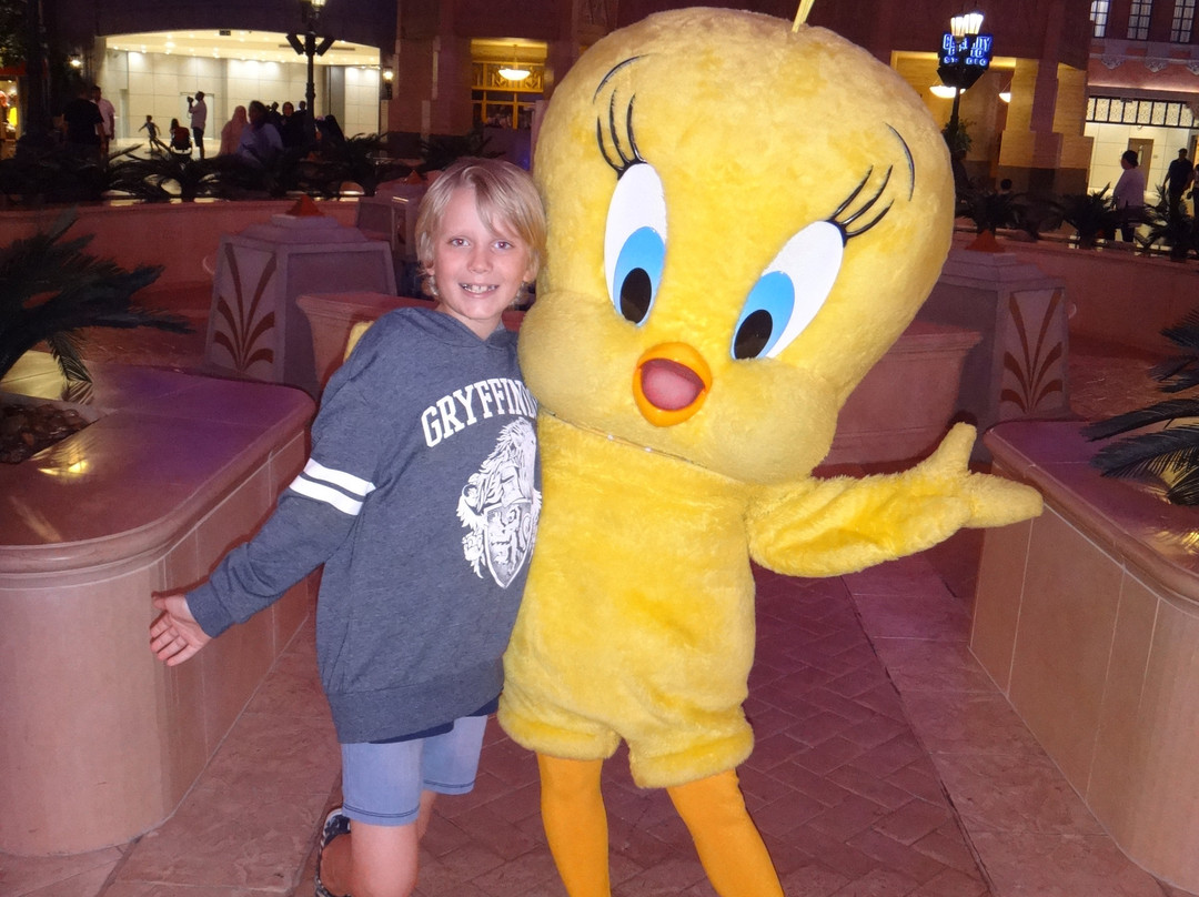 Warner Bros World Abu Dhabi-阿布扎比必去景点