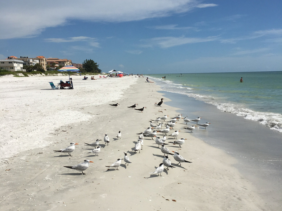 Indian Rocks Beach Suites主图