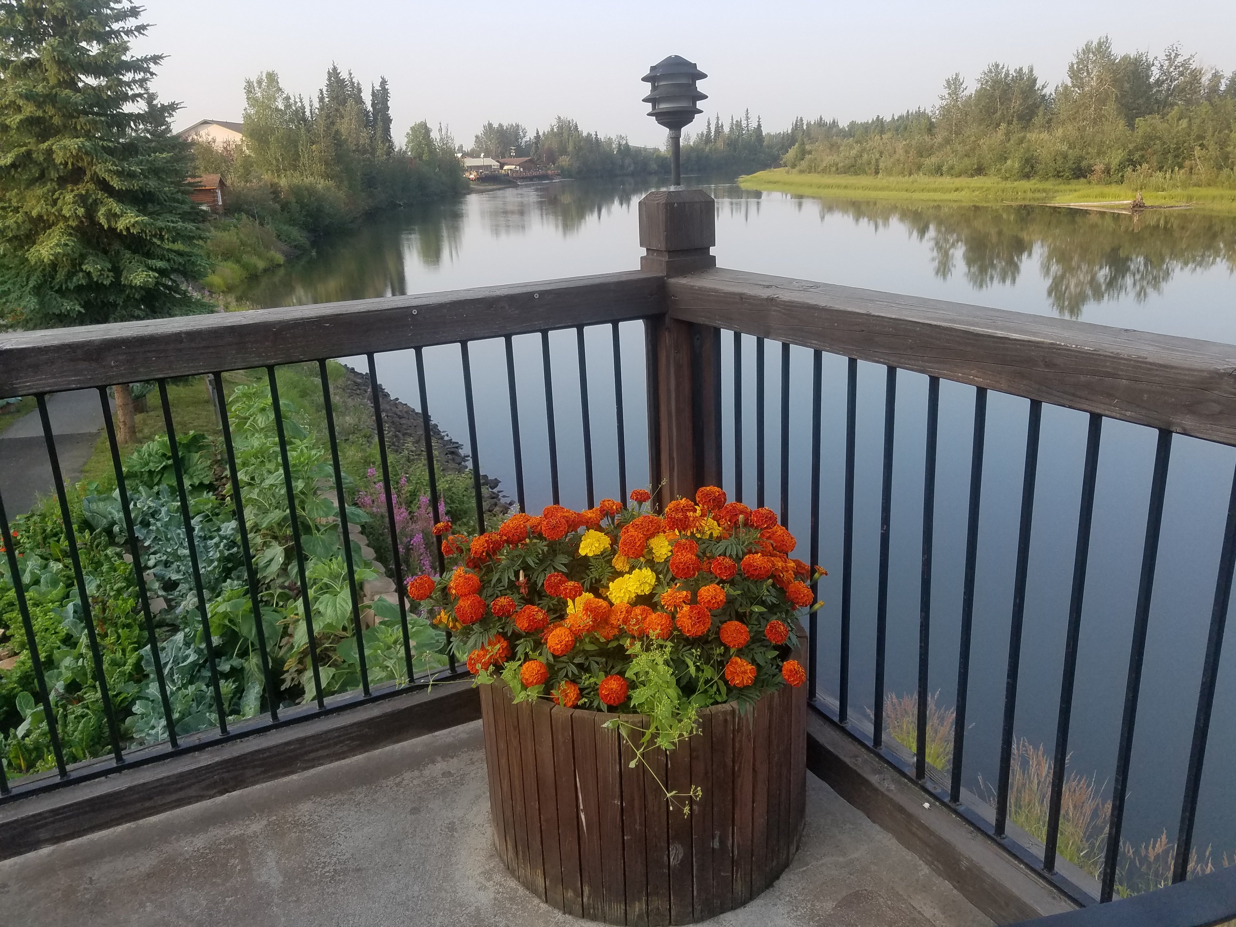Fairbanks Princess Riverside Lodge-餐饮