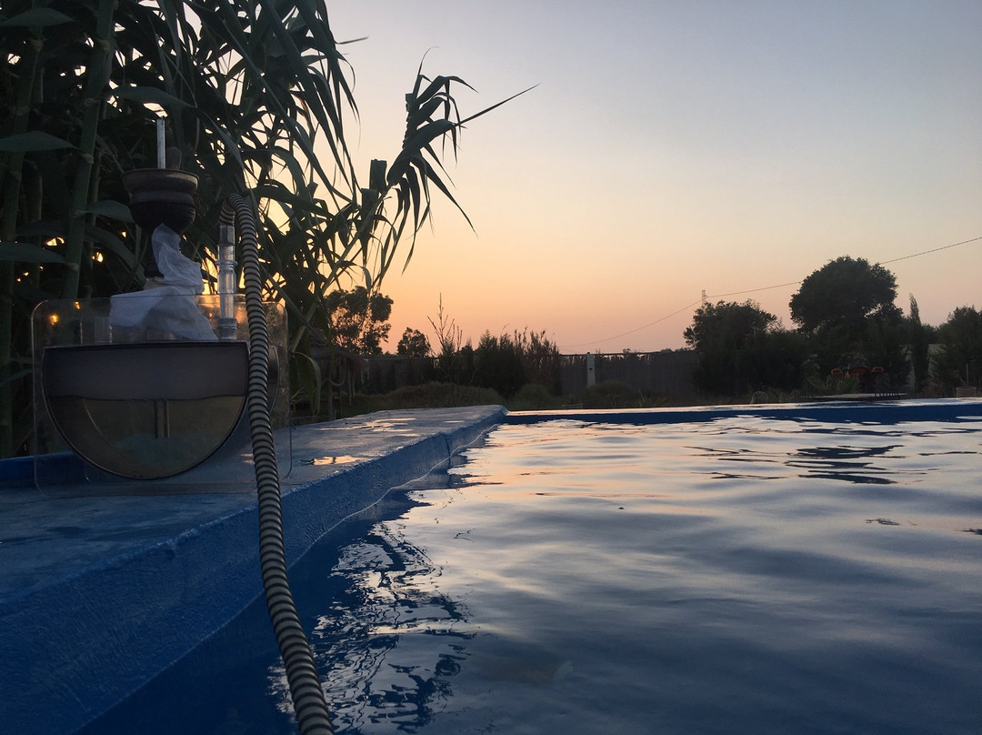 Zembretta Farm-Zembrettita主图