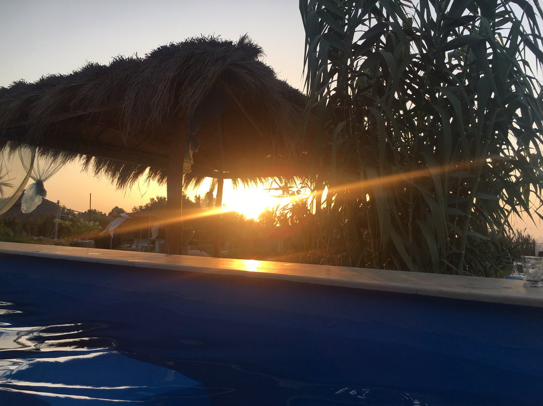 Zembretta Farm-Zembrettita主图