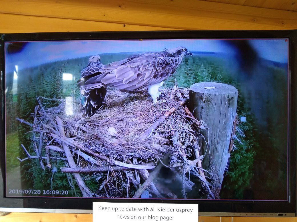 Osprey Watch-Kielder必去景点