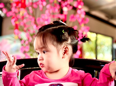 Quang Binh Top Travel