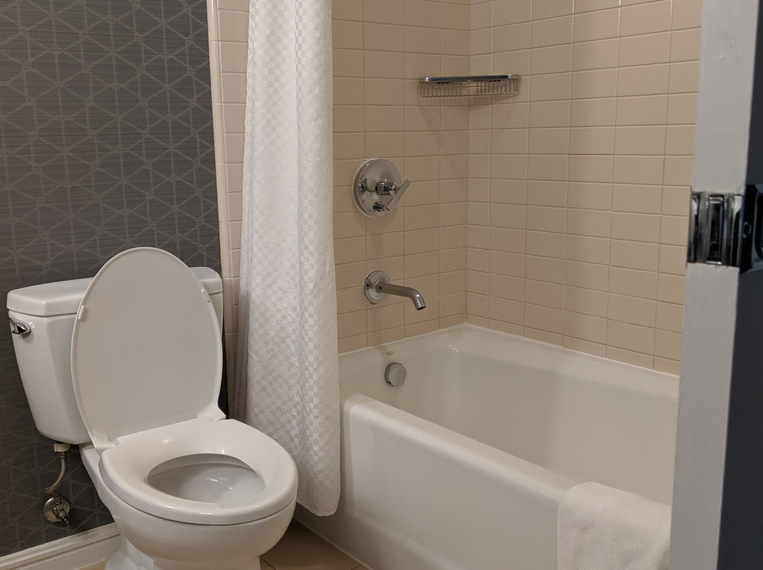 阿灵顿艾美酒店主图