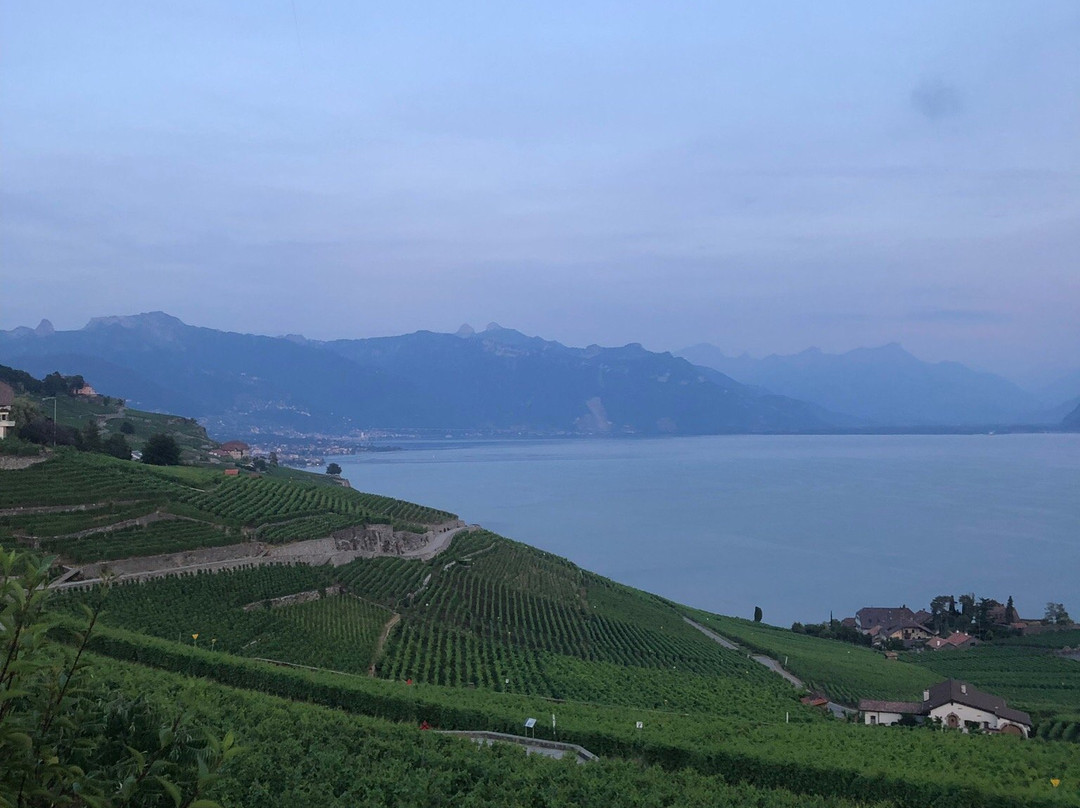 Domaine Bovy-谢布尔必去景点