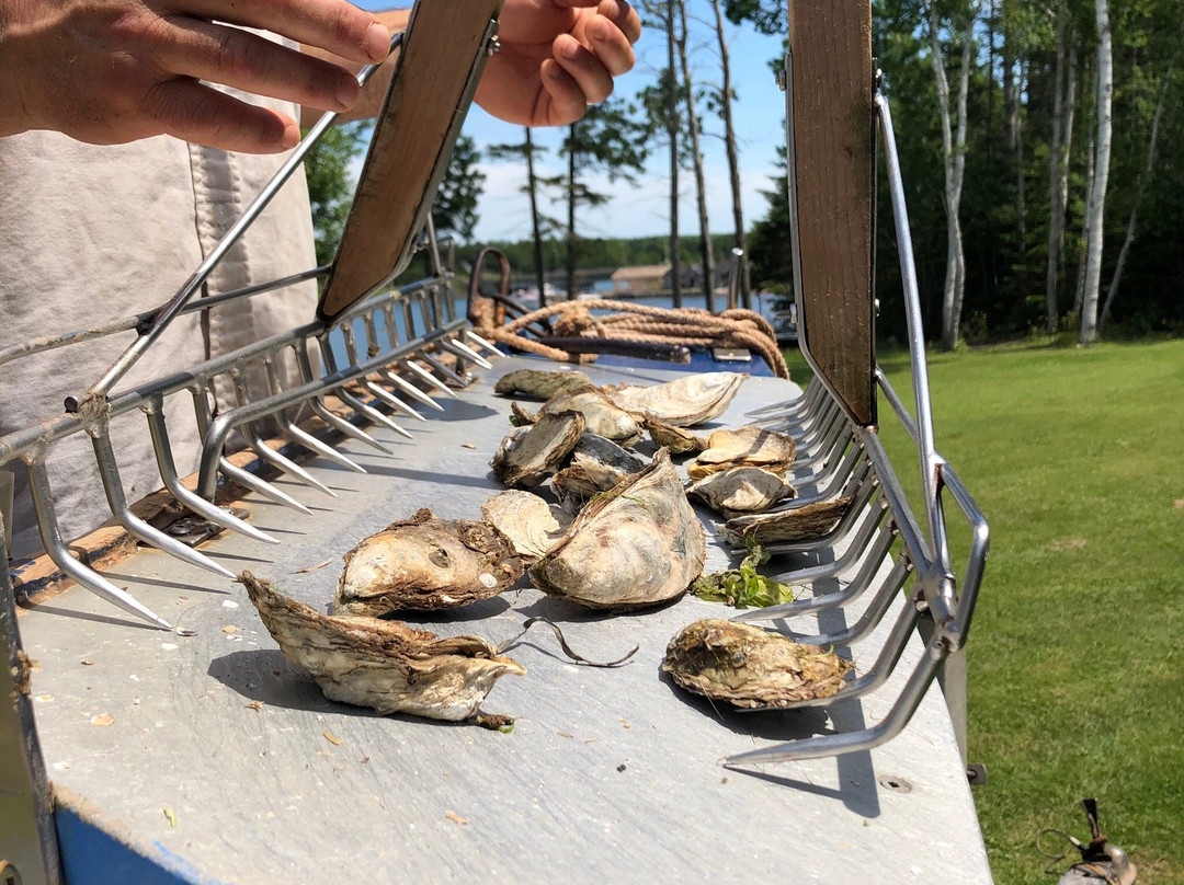 Oyster Lovers Experience-Belfast必去景点