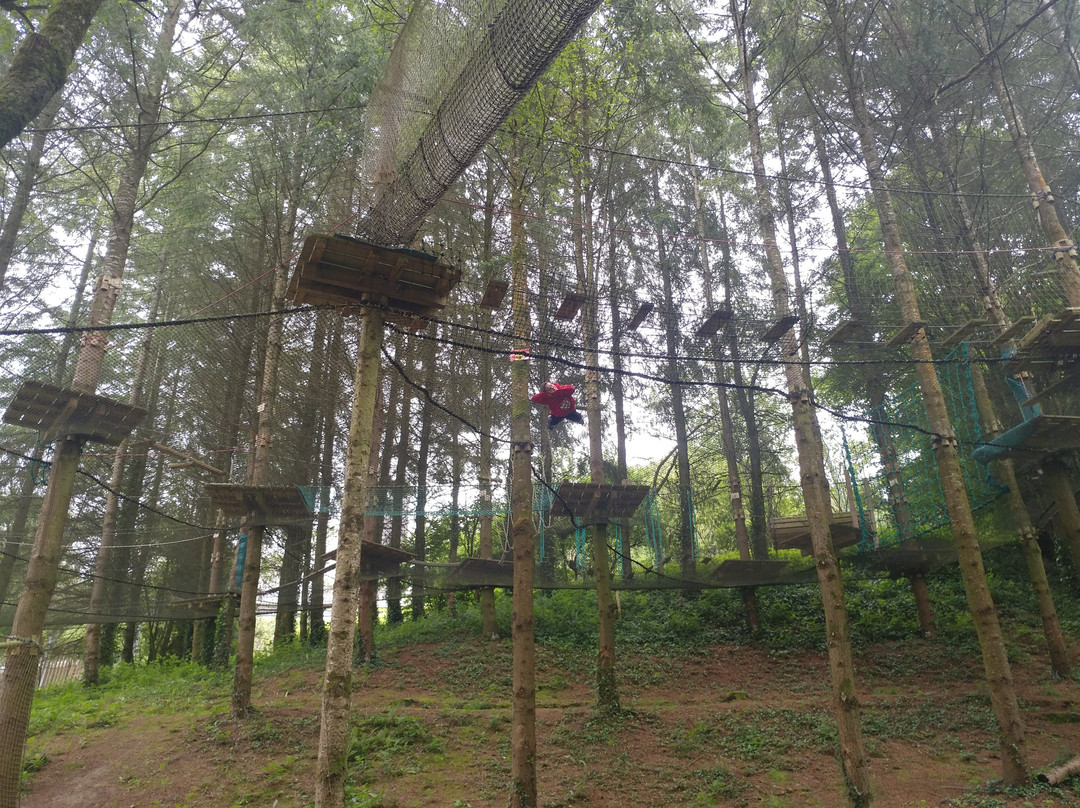 Normandie Luge Souleuvre Aventure景点图片