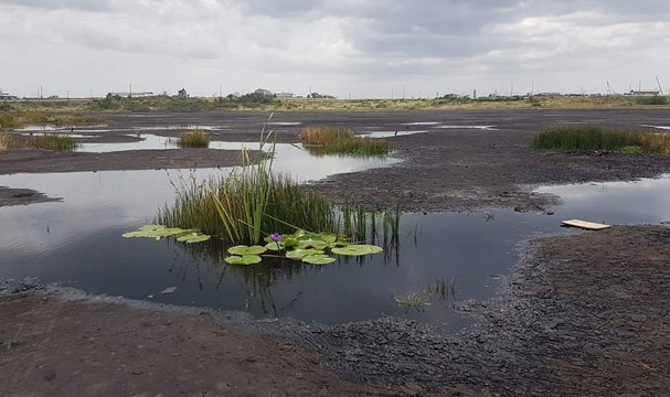 The Pitch Lake-La Brea必去景点