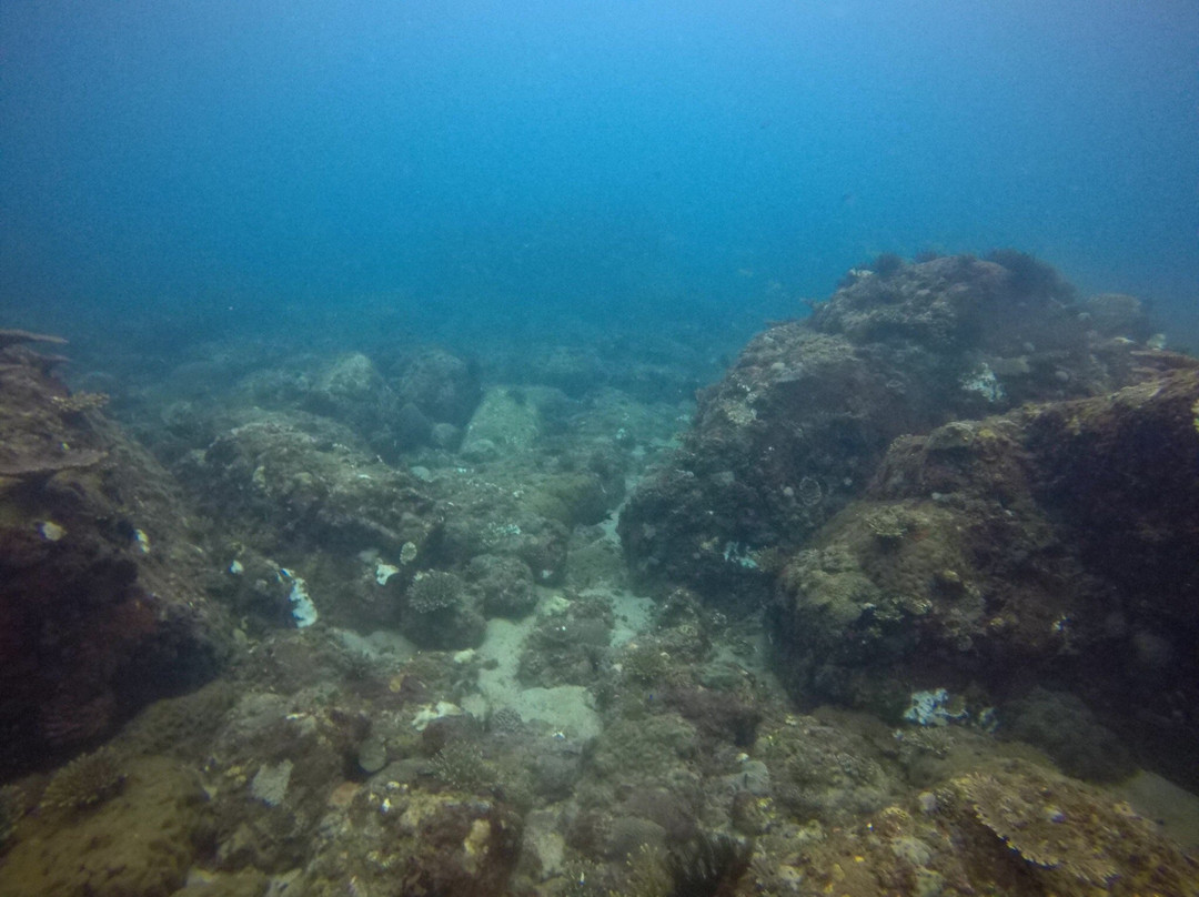 Divinguru Trincomalee-Trincomalee必去景点